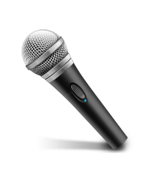 Load image into Gallery viewer, Micro Karaoke Magicsing